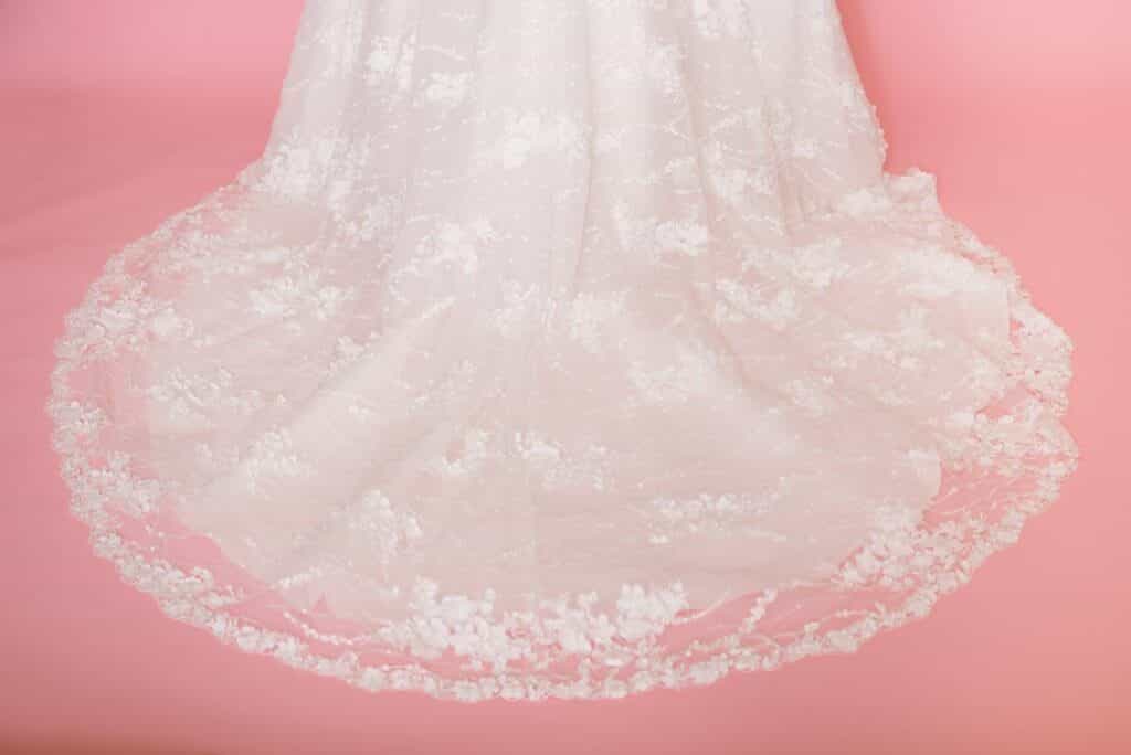 Aurora-2.jpg Aurora train