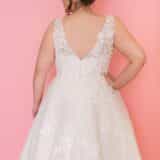 Aurora-5.jpg Aurora back close