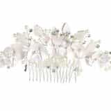 WF517b.jpg WF517b.jpg