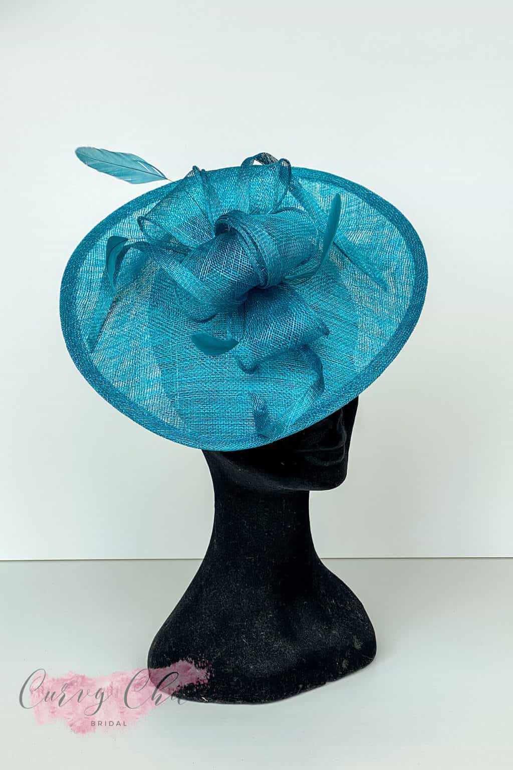 ML13-ADI Winter Teal