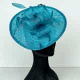 ML13-ADI Winter Teal