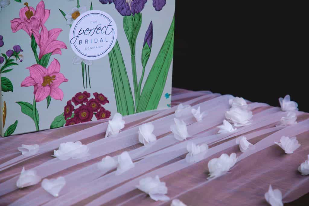 PBV9017-1F1A2295-1024×683 veil