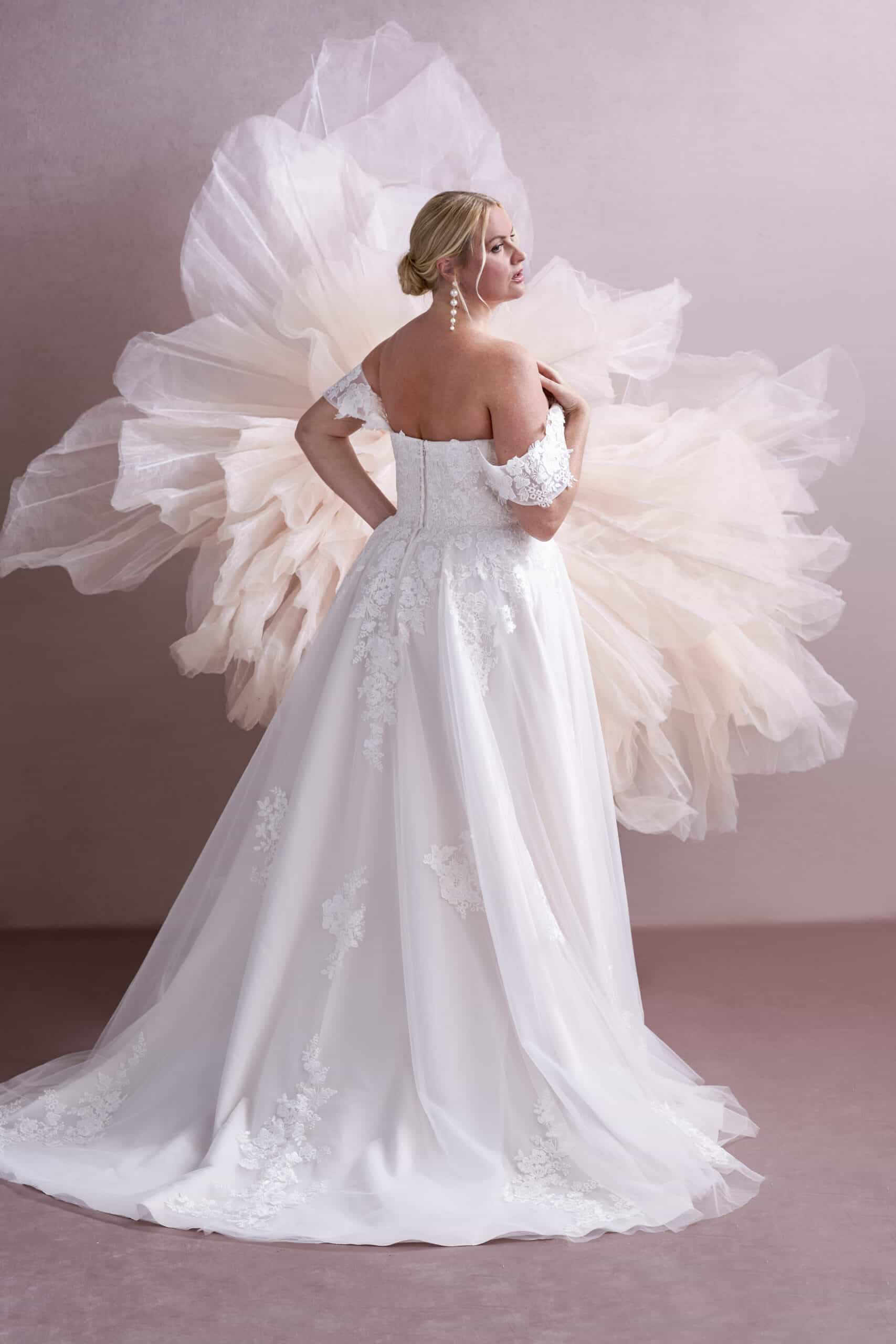 MG203-iv-shell 5 Lara